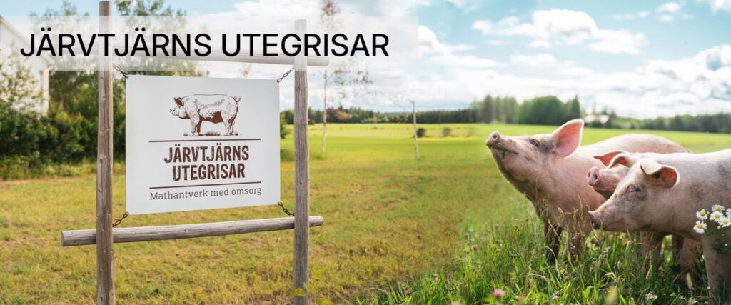 Jarvtjärns utegrisar1