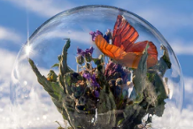 Sol Studios Små minivärldar från Sol Studios i Lövånger Saluhall